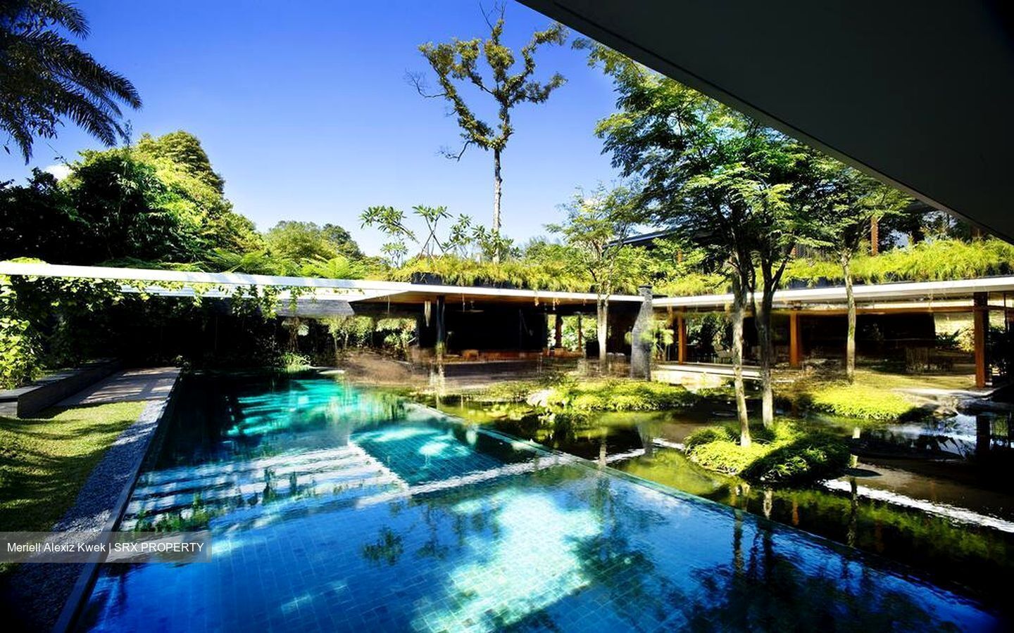 Cluny Hill (D10), Detached #499418641